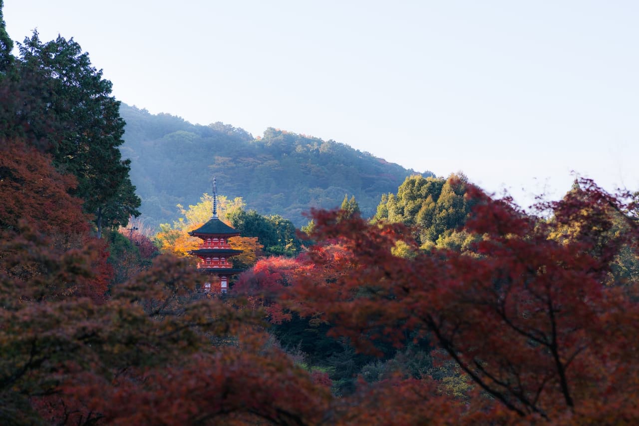 Sunrise at the temple